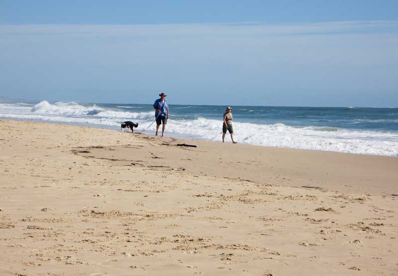 North Shore walkers