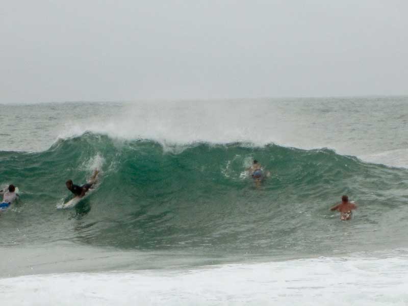 Pt Cartwright surfers