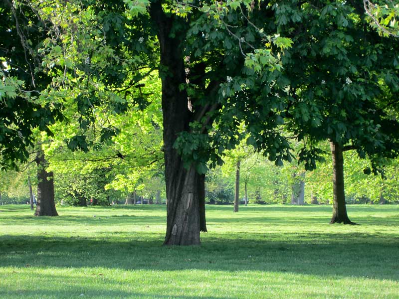Kensington Gardens