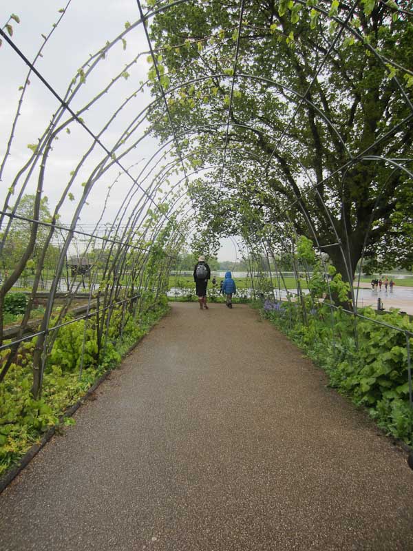 The Lime Walk, Kensington Palace
