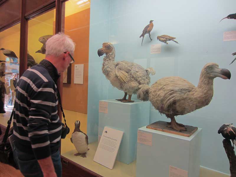 Natural History Museum