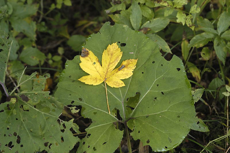 10373_DSC.JPG