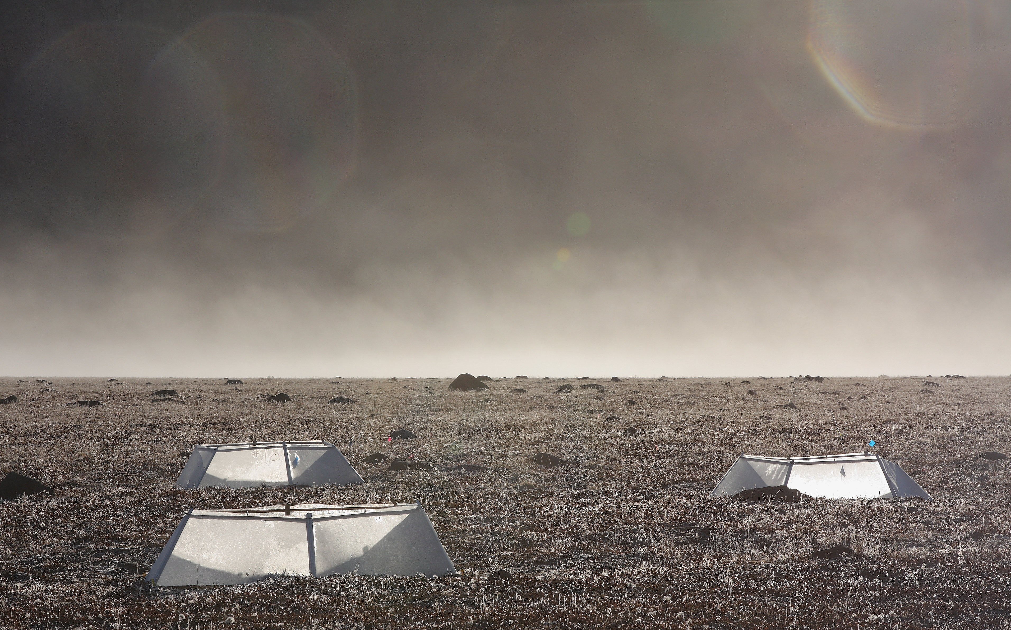 Arctic Green Houses