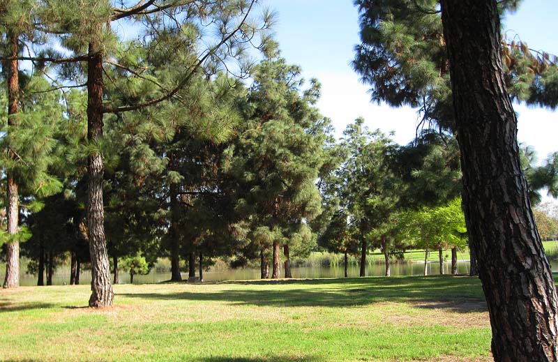 El Dorado Park