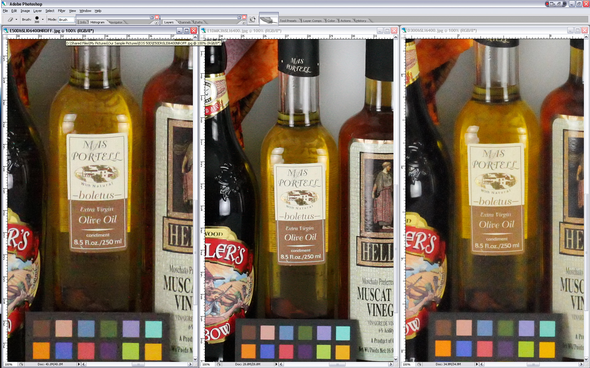 SCREEN_SHOT50D_vs_1D3_vs_D300-4.jpg