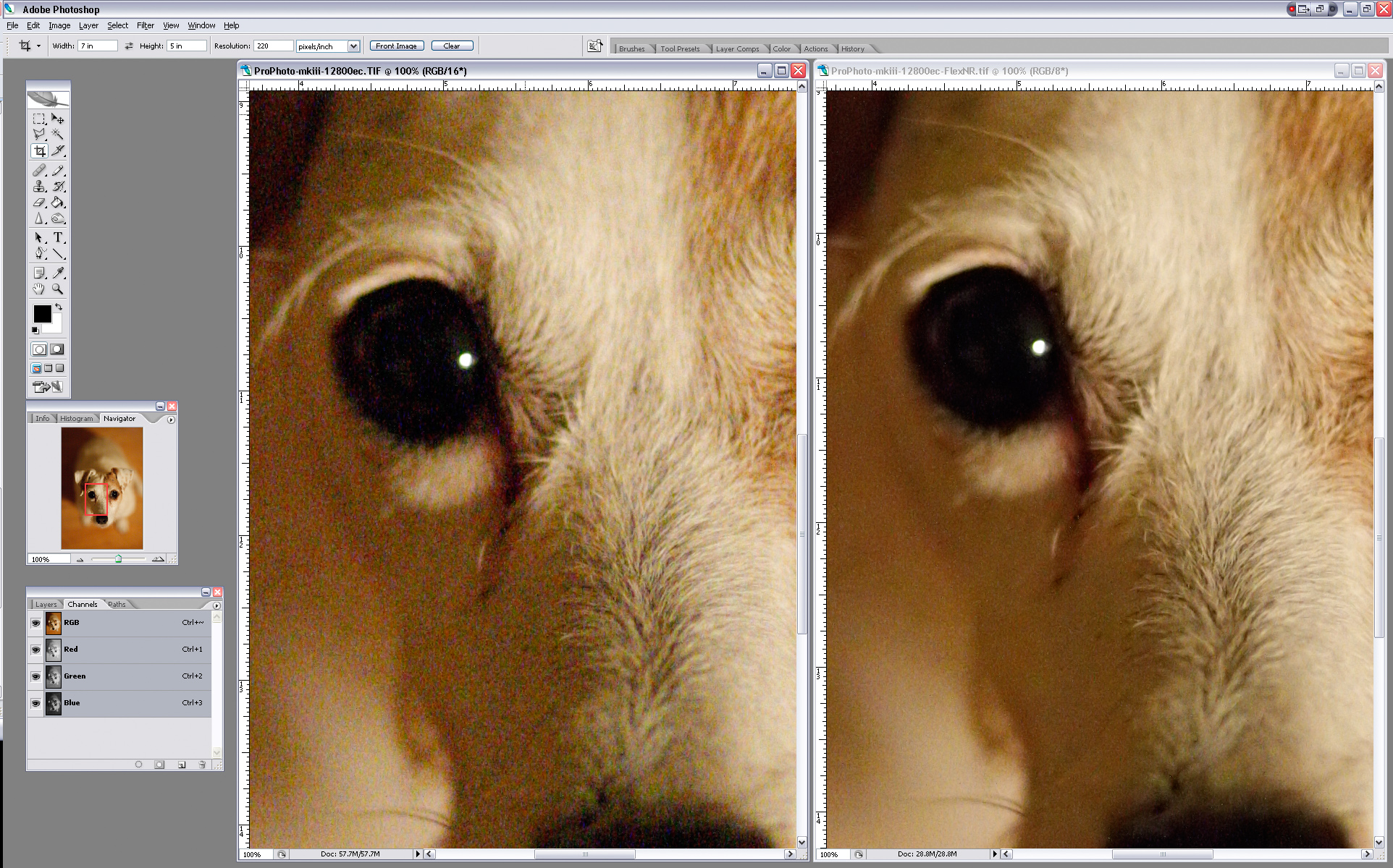 ScreenShot1D3-RIT-ISo12800-FlexNR-3.jpg