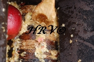Prospect Hill Orchard -DSC_0028.JPG
