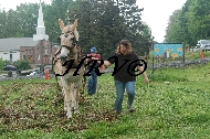 DSC_0126.JPG