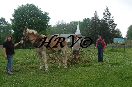 DSC_0127.JPG