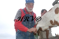 DSC_0155.JPG