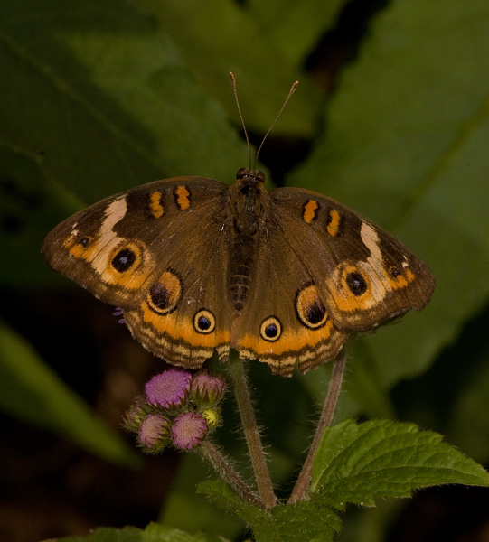 _ICT3086-SMALL.jpg
