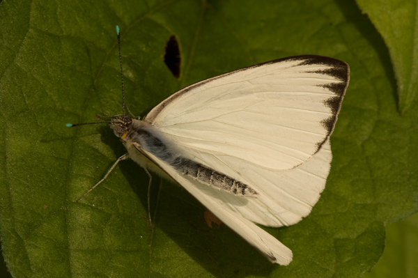 _ICT3102-small.jpg