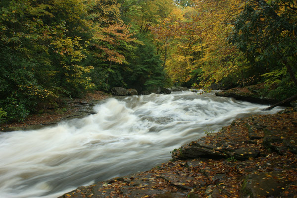 fast-moving-creek-small.jpg