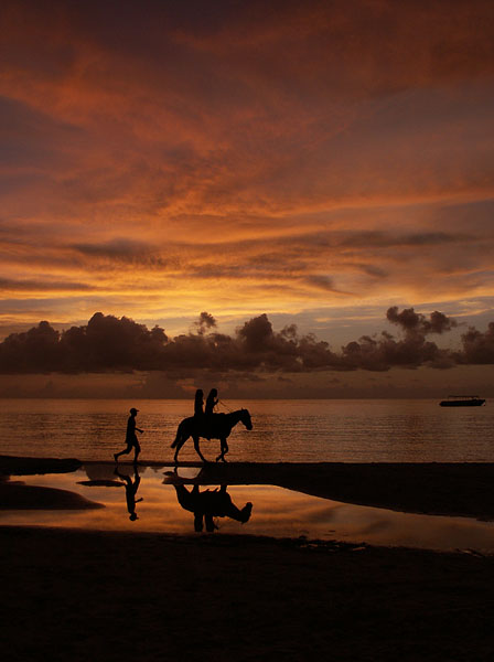 ANOTHER SUNSET RIDER.jpg