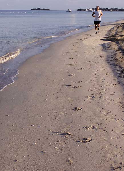 BEACH JOGGER.jpg