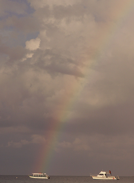 OCEAN RAINBOW.jpg