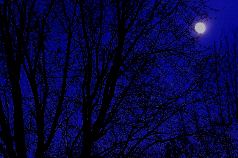 Moonrise