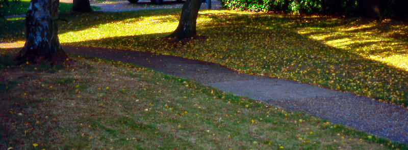 autumn10-j.jpg