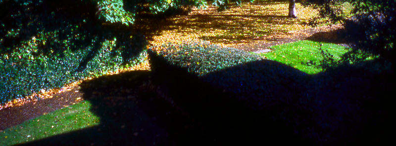 autumn11-j.jpg