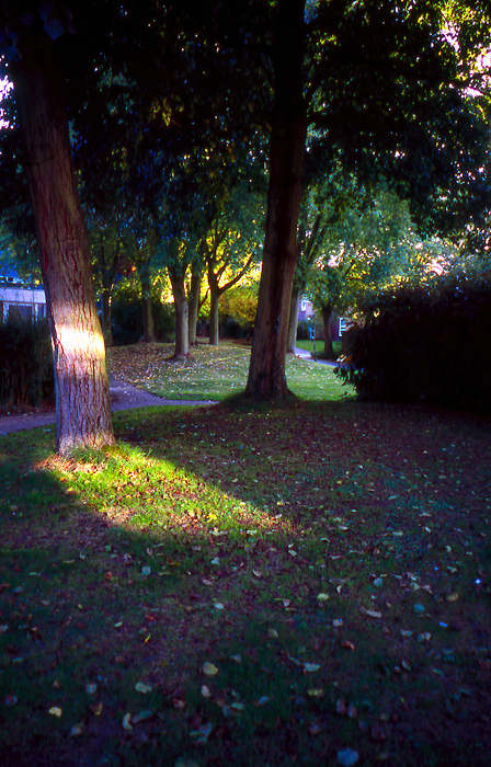 autumn14-j.jpg