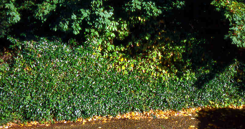 autumn16-j.jpg