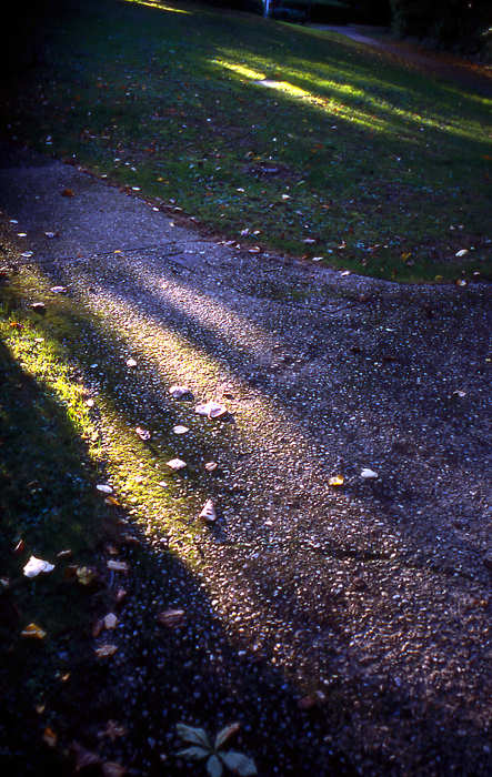 autumn morning.jpg