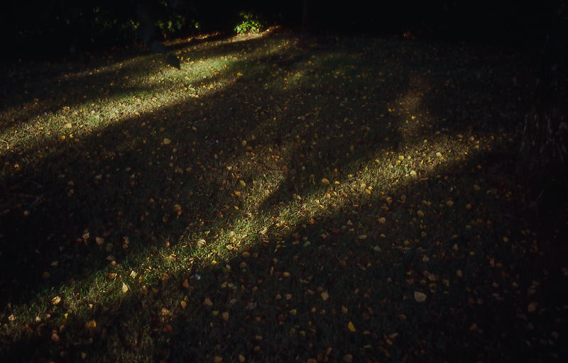 autumn morning 01-j.jpg