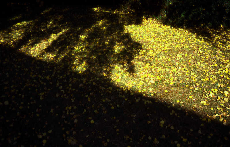 autumn morning 02-j.jpg