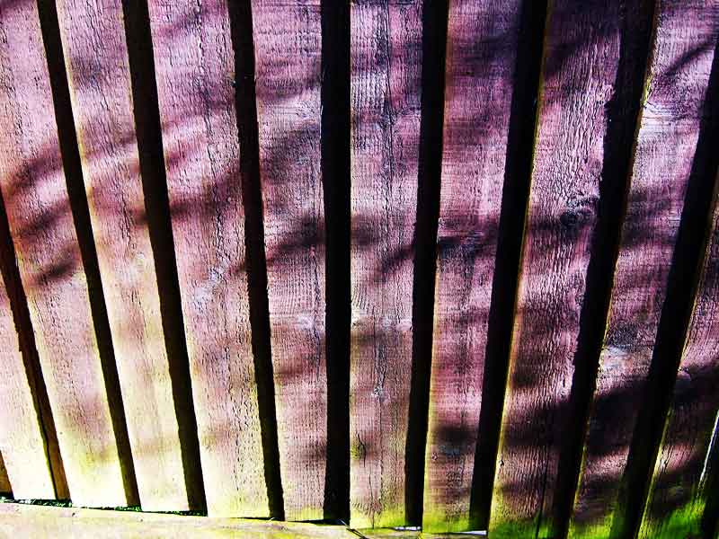 Fence and Light