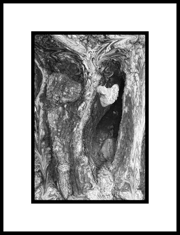 Old Tree