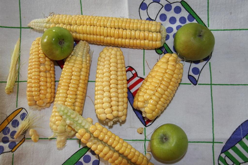 corn from our garden apples from the trees.jpg