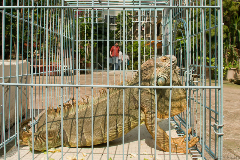 [2012.03.24] behind bars