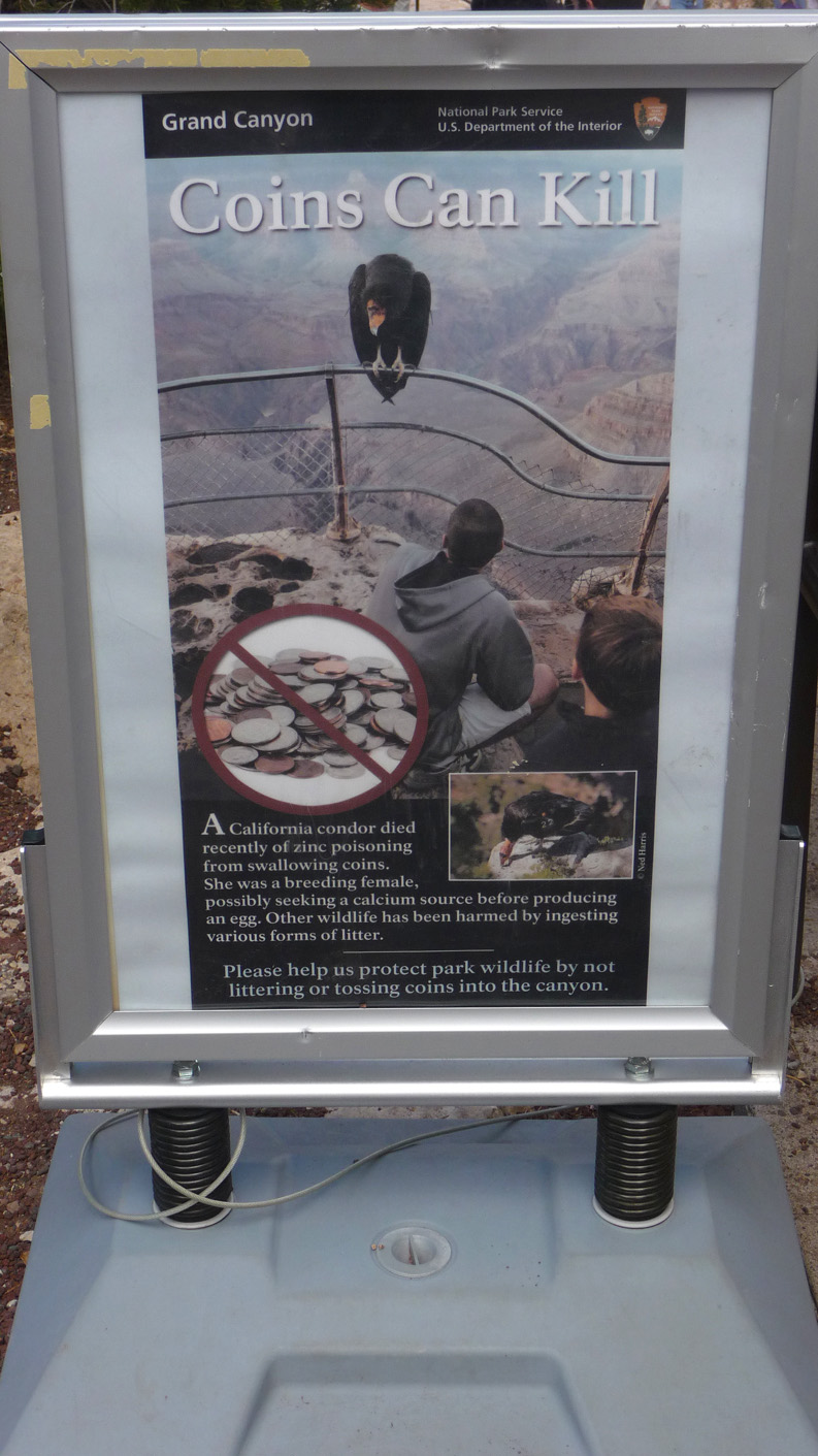 Sign at the South Rim warning of the danger of tossing coins in the canyon and poisoning birds.