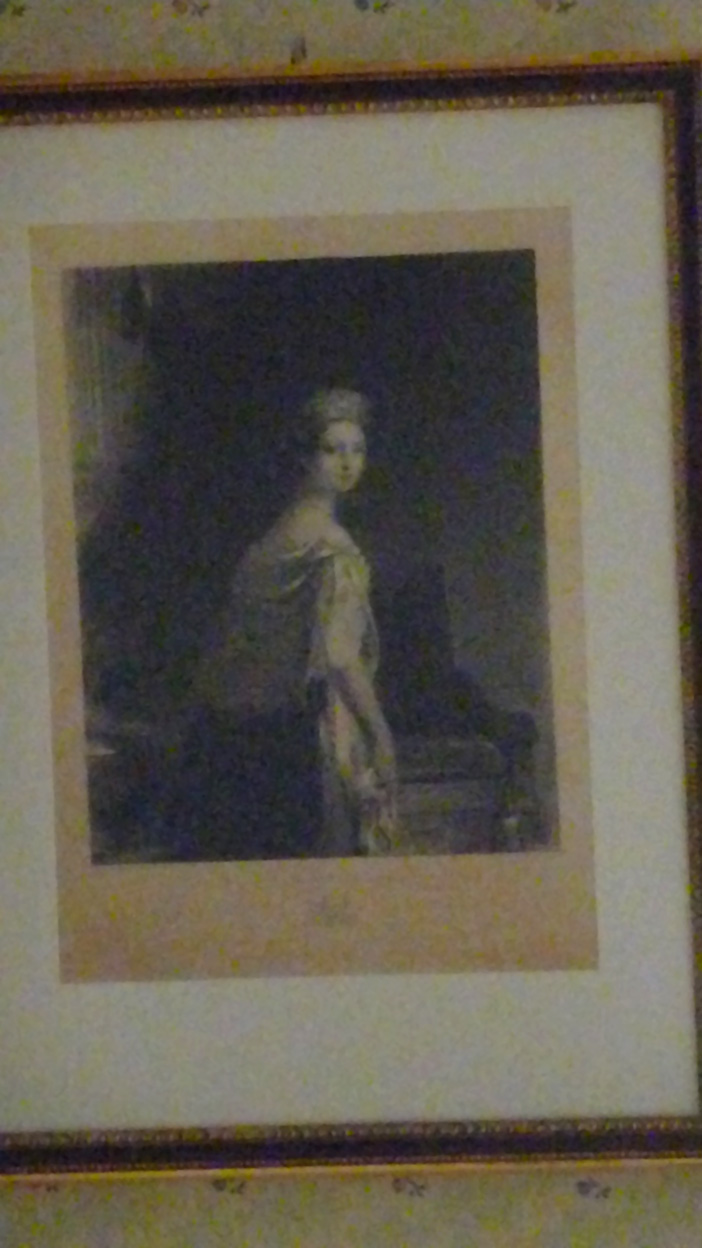 This is probably a portrait of Elizabeth Vanderpoel since it hangs in Johns Bedroom.