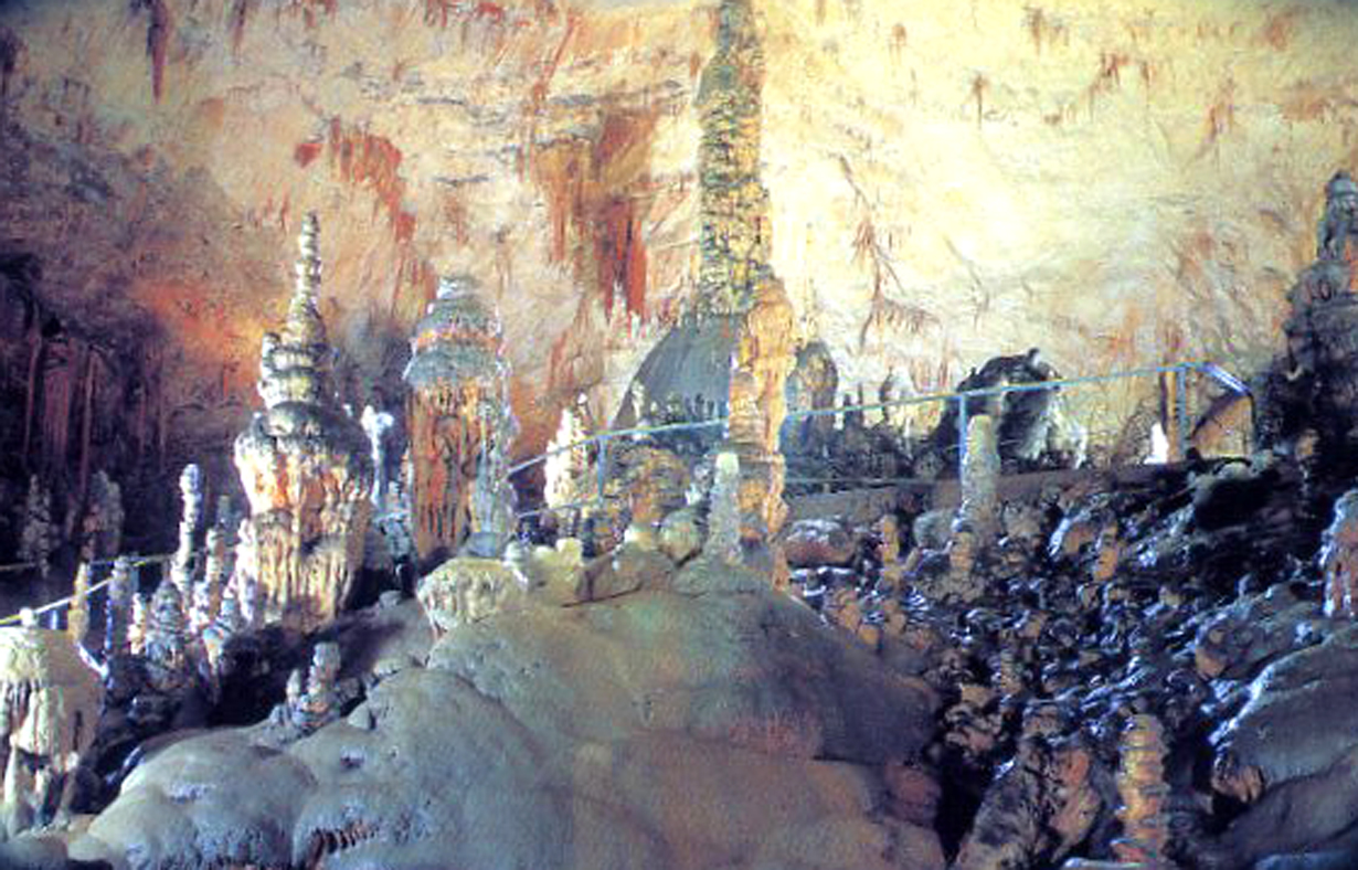 Stalagmites inside the Postojna Cave.