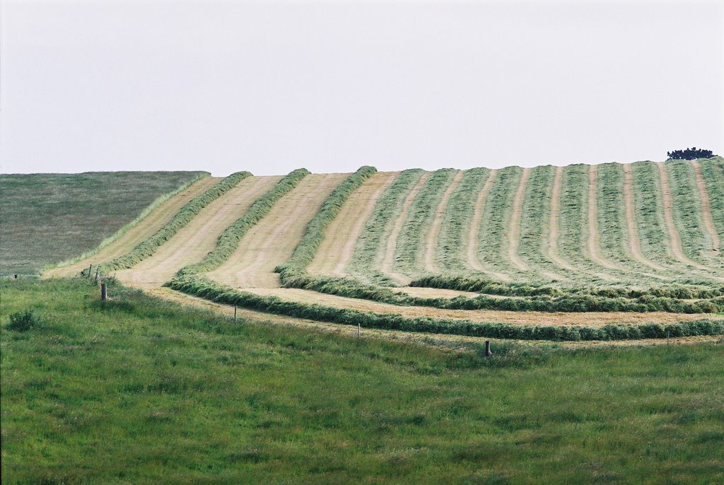 F1060016.JPG