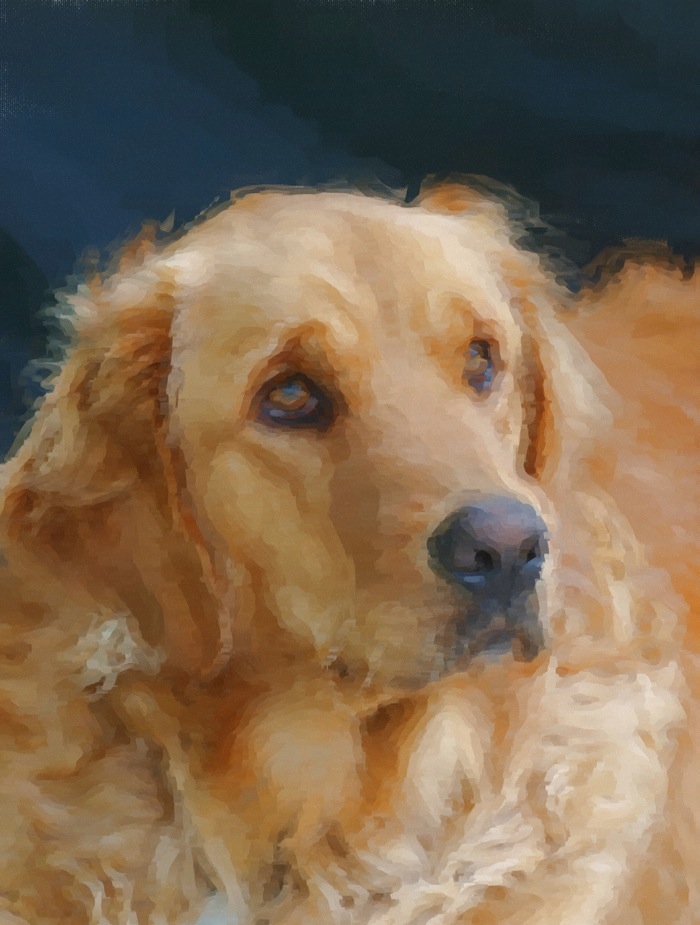 Bella Painting.jpg