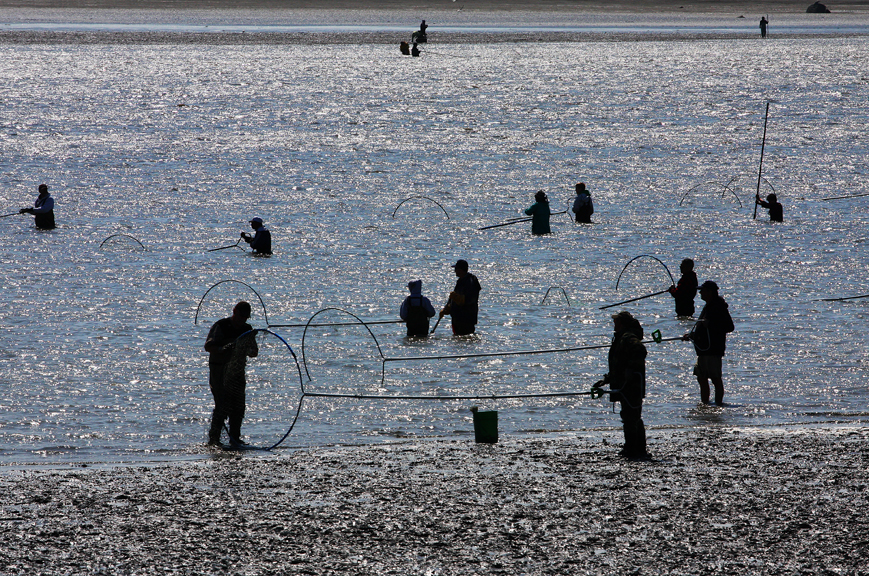 dip netting-Kenai