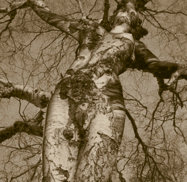 TREEPEOPLE.bmp