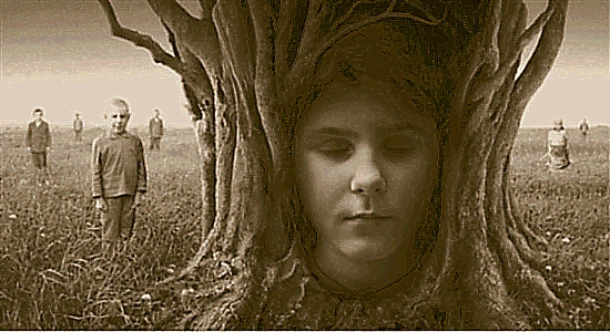 tree.bmp
