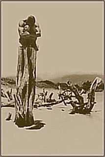 T.jpg
