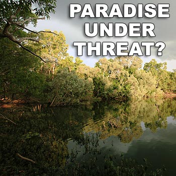 PARADISE.jpg