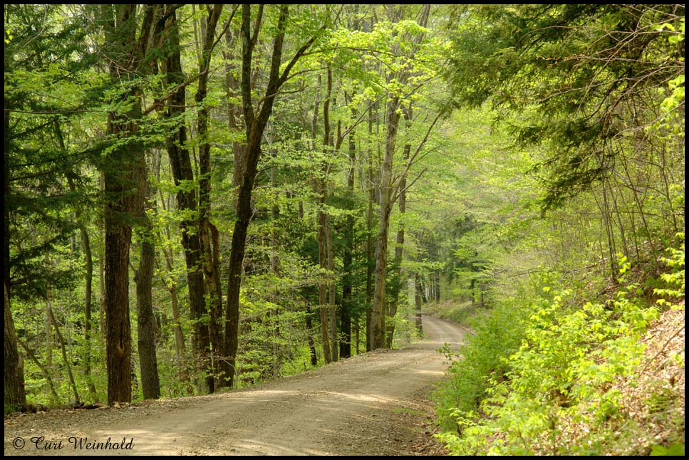 Rock Run Road