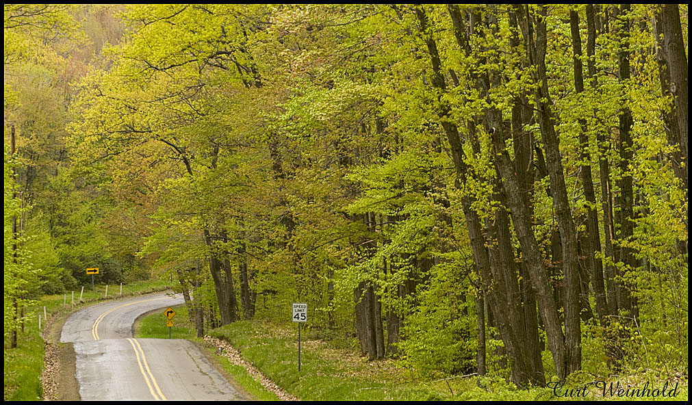 Rt 44 to Cherry Springs Park. The Dark Sky Highway.