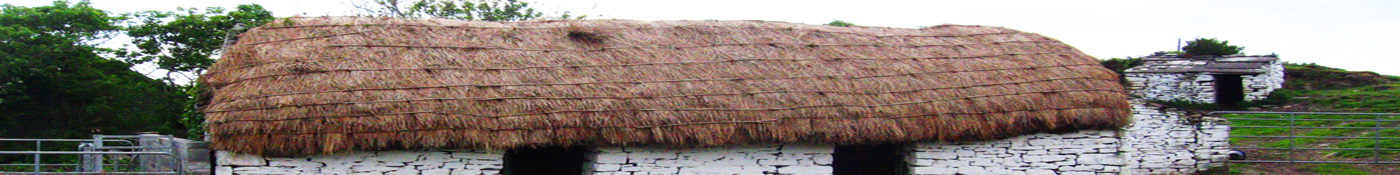 thatched.jpg