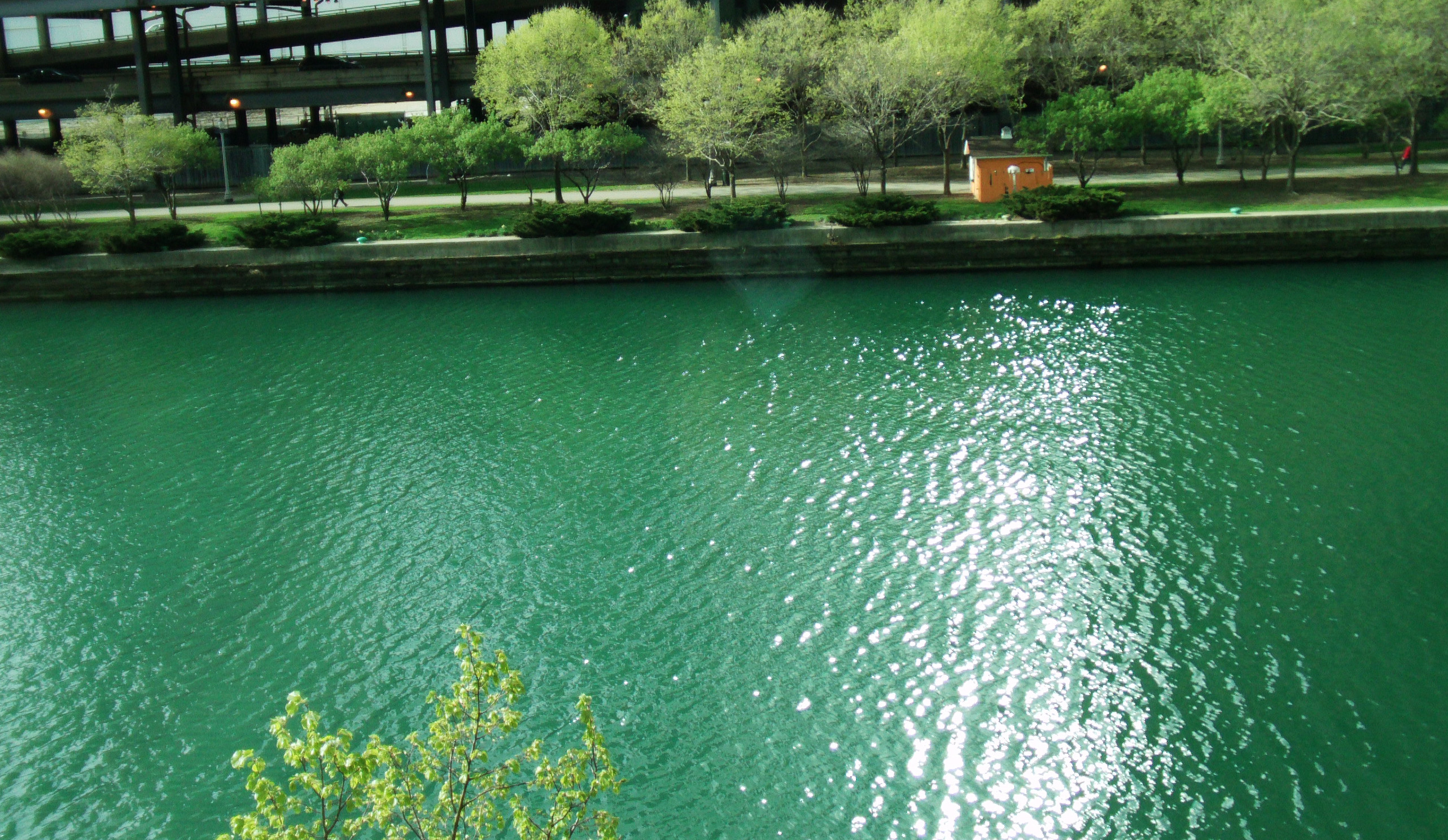 Chicago River