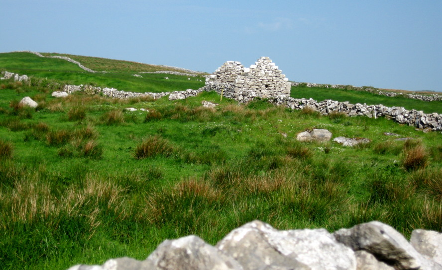 Cottage ruin in the Burren