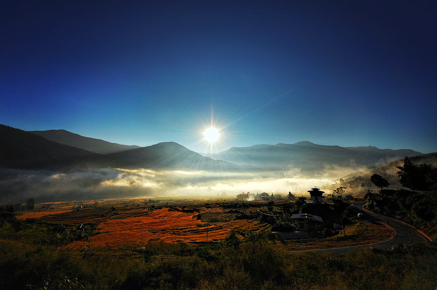 punakha 2