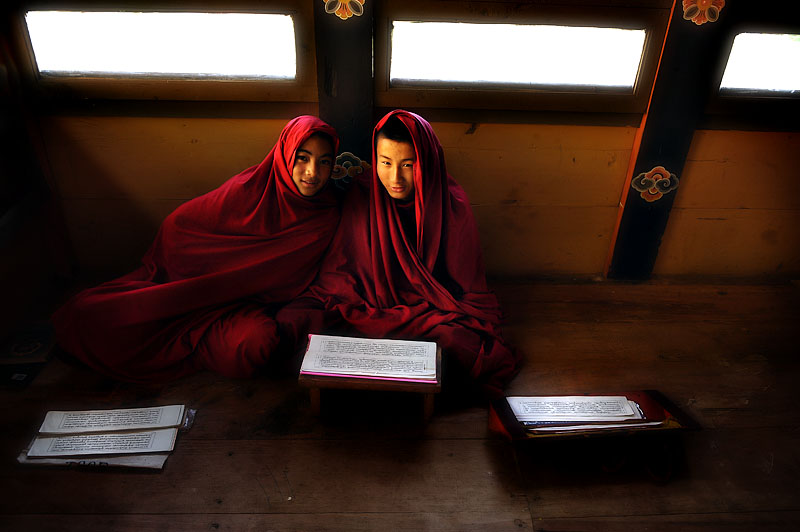 dharma 1