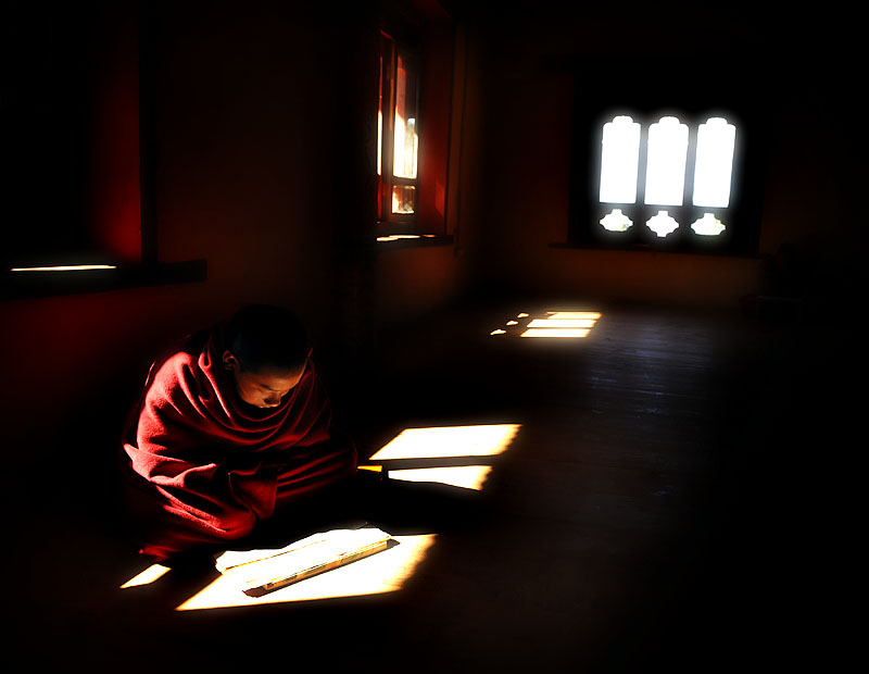 dharma 3